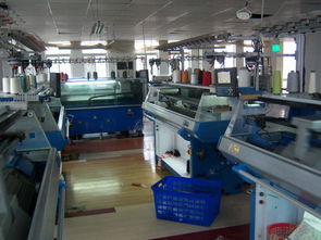 威海經濟技術開發區瑞興服裝廠 創新女裝技術與市場推廣策略